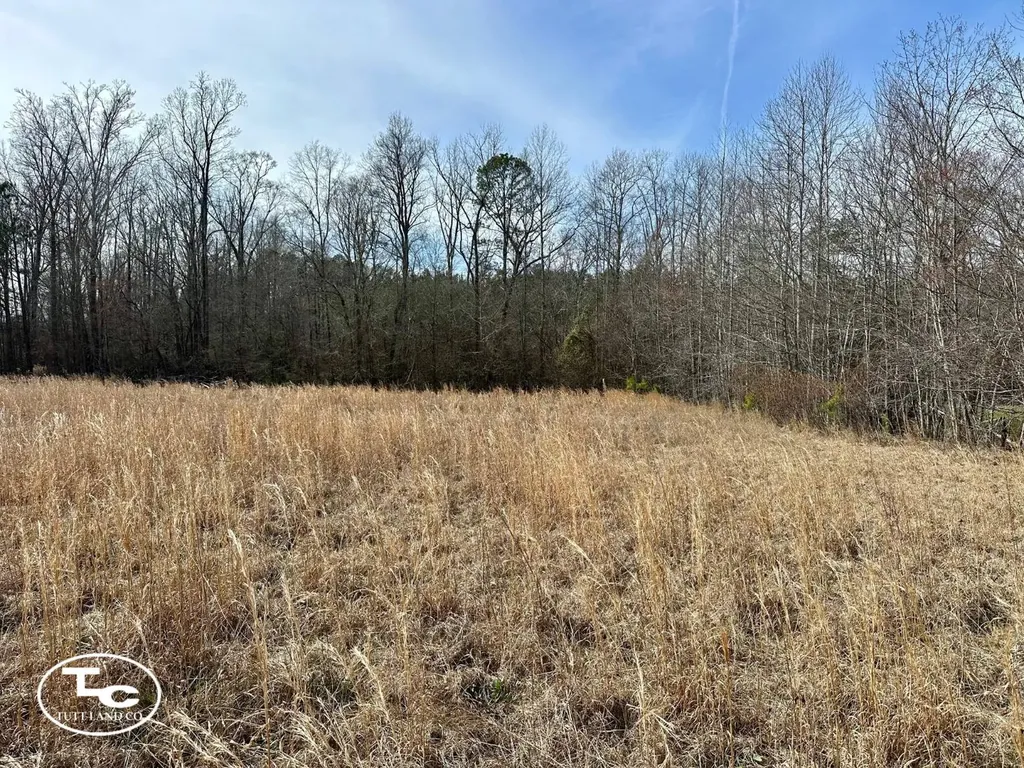 0 Cr 26 S Bankston AL 35542