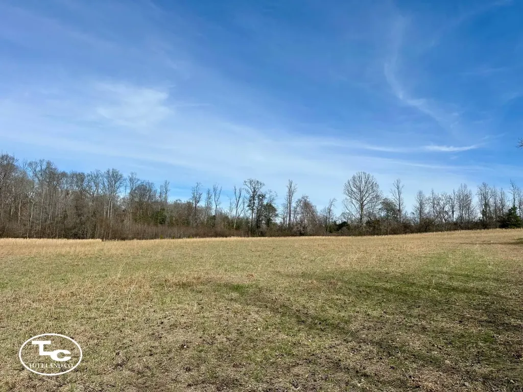 0 Cr 26 S Bankston AL 35542