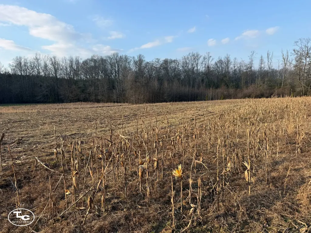 0 Cr 26 S Bankston AL 35542