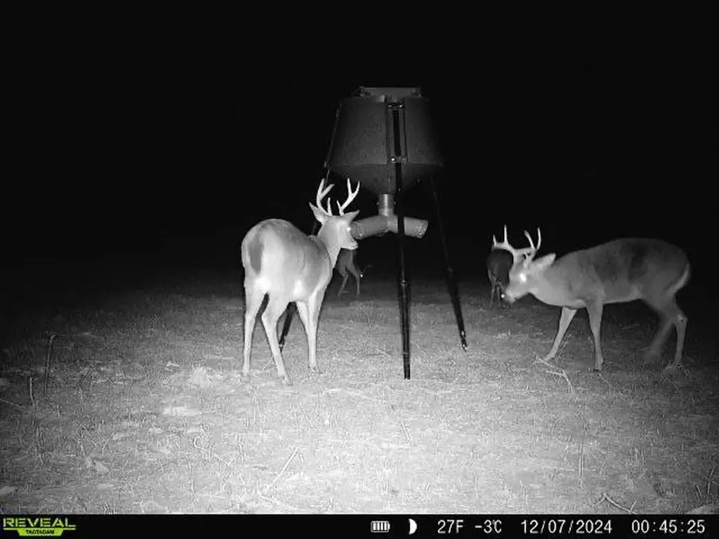 0 Cr 26 S Bankston AL 35542