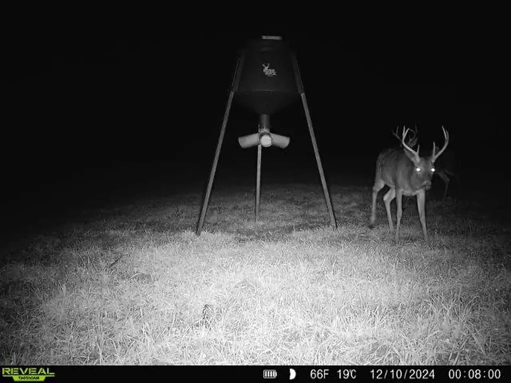 0 Cr 26 S Bankston AL 35542