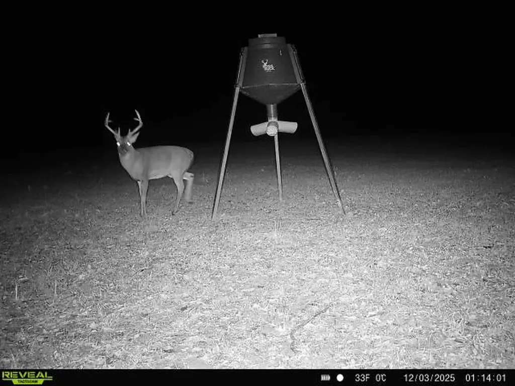 0 Cr 26 S Bankston AL 35542