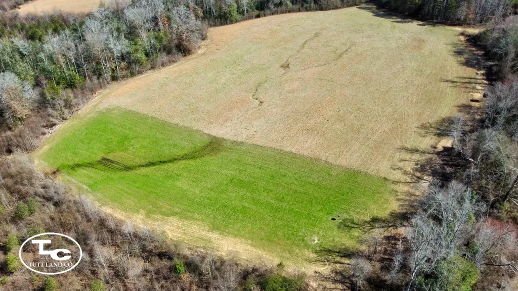 0 Cr 26 S Bankston AL 35542