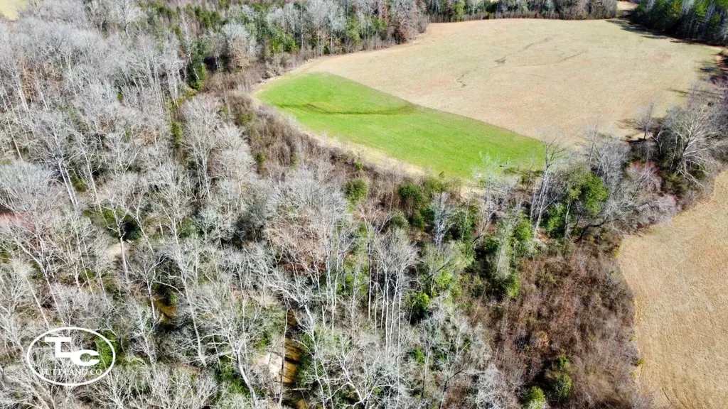 0 Cr 26 S Bankston AL 35542