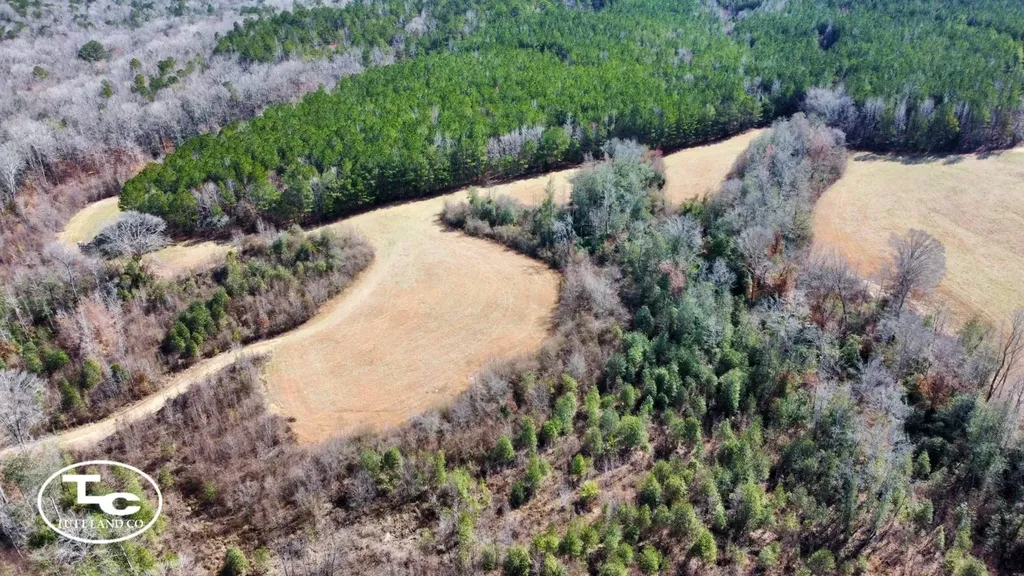0 Cr 26 S Bankston AL 35542