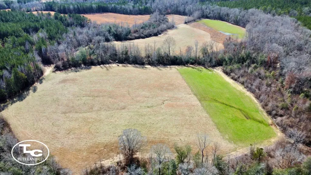 0 Cr 26 S Bankston AL 35542