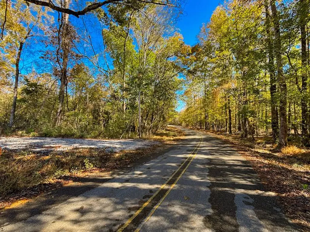 11 Lake Bend Shores Drive Florence AL 35633