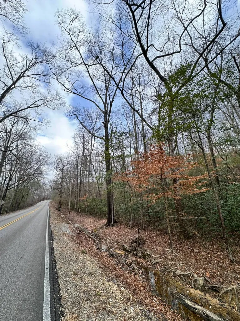 01 11th Avenue Guin AL 35563