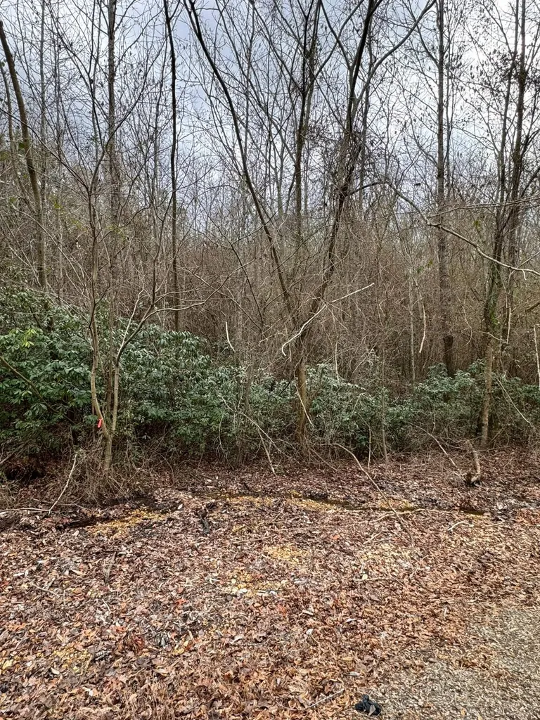 01 11th Avenue Guin AL 35563