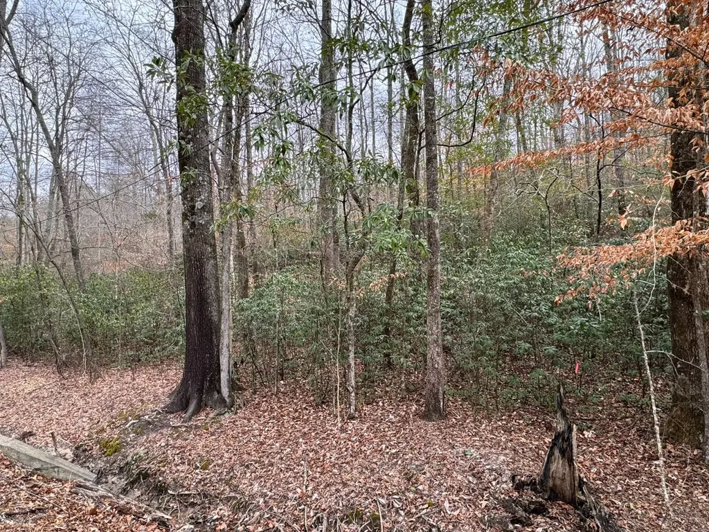 01 11th Avenue Guin AL 35563