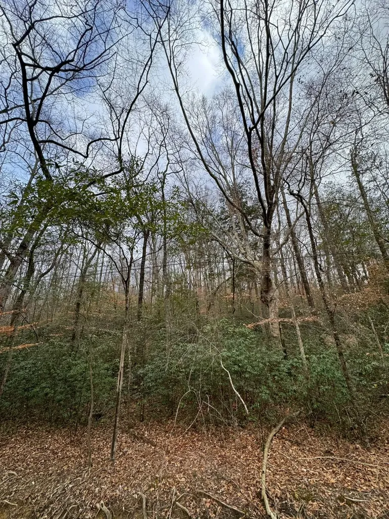 01 11th Avenue Guin AL 35563