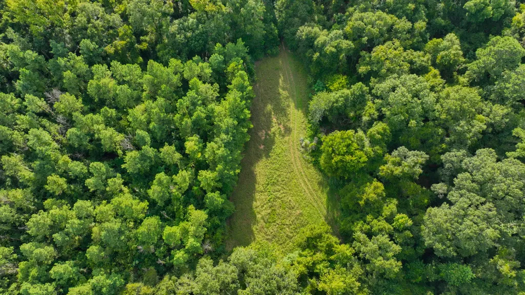 0 Highway 80 Marion Junction AL 36759