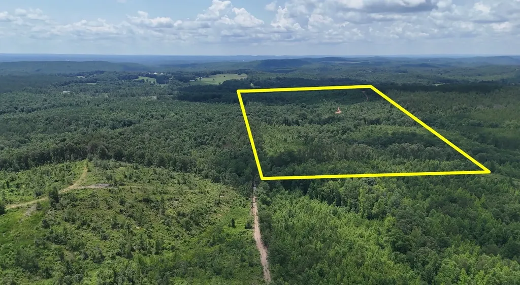 0 Old Highway 431 Tract 1 Wedowee AL 36278
