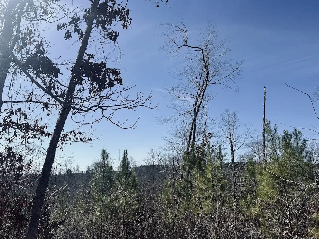 0 Old Highway 431 Tract 1 Wedowee AL 36278