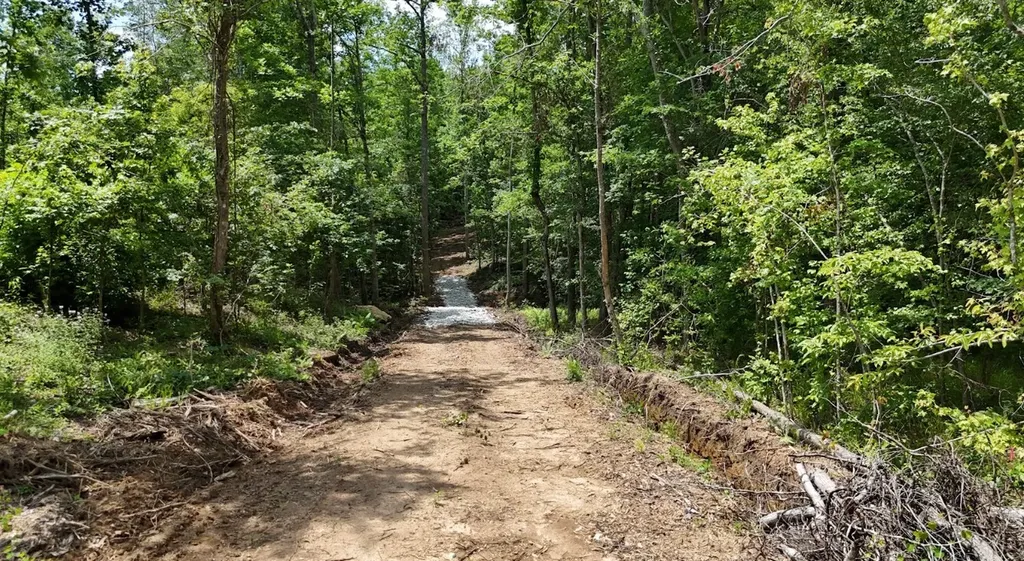 0 Old Highway 431 Tract 1 Wedowee AL 36278