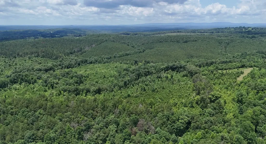0 Old Highway 431 Tract 1 Wedowee AL 36278