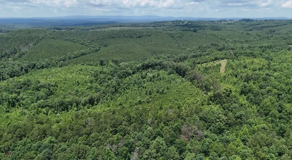 0 Old Highway 431 Tract 1 Wedowee AL 36278