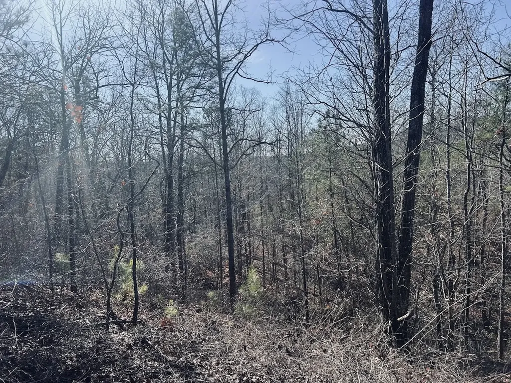 0 Old Highway 431 Tract 1 Wedowee AL 36278