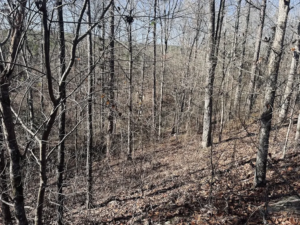 0 Old Highway 431 Tract 1 Wedowee AL 36278