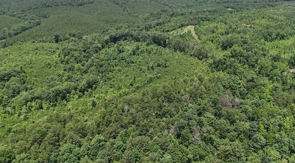 0 Old Highway 431 Tract 1 Wedowee AL 36278