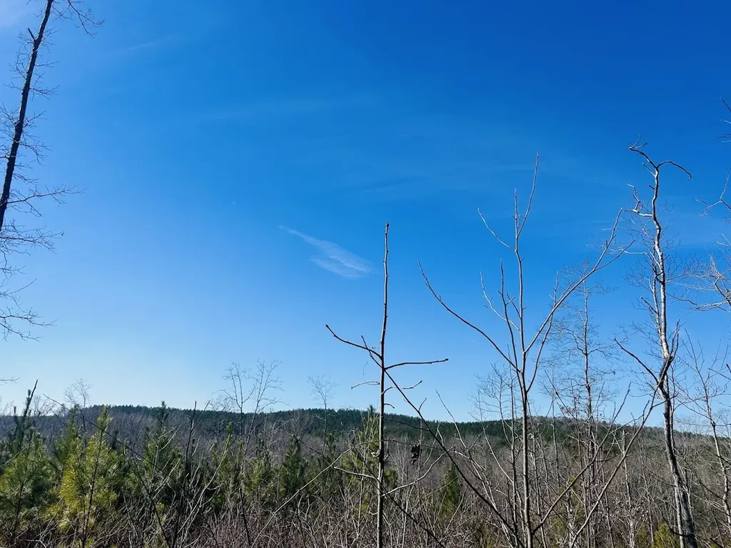 0 Old Highway 431 Tract 1 Wedowee AL 36278