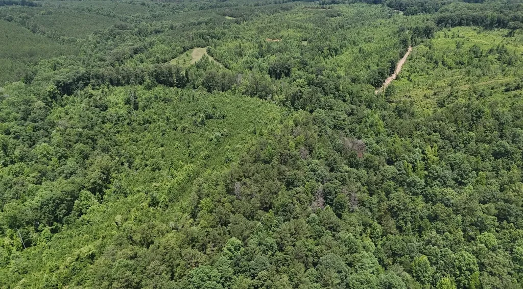 0 Old Highway 431 Tract 1 Wedowee AL 36278