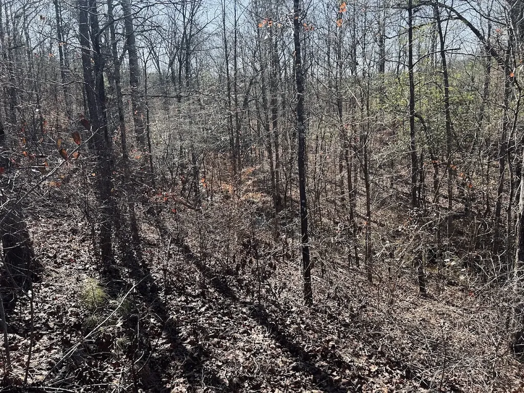 0 Old Highway 431 Tract 1 Wedowee AL 36278