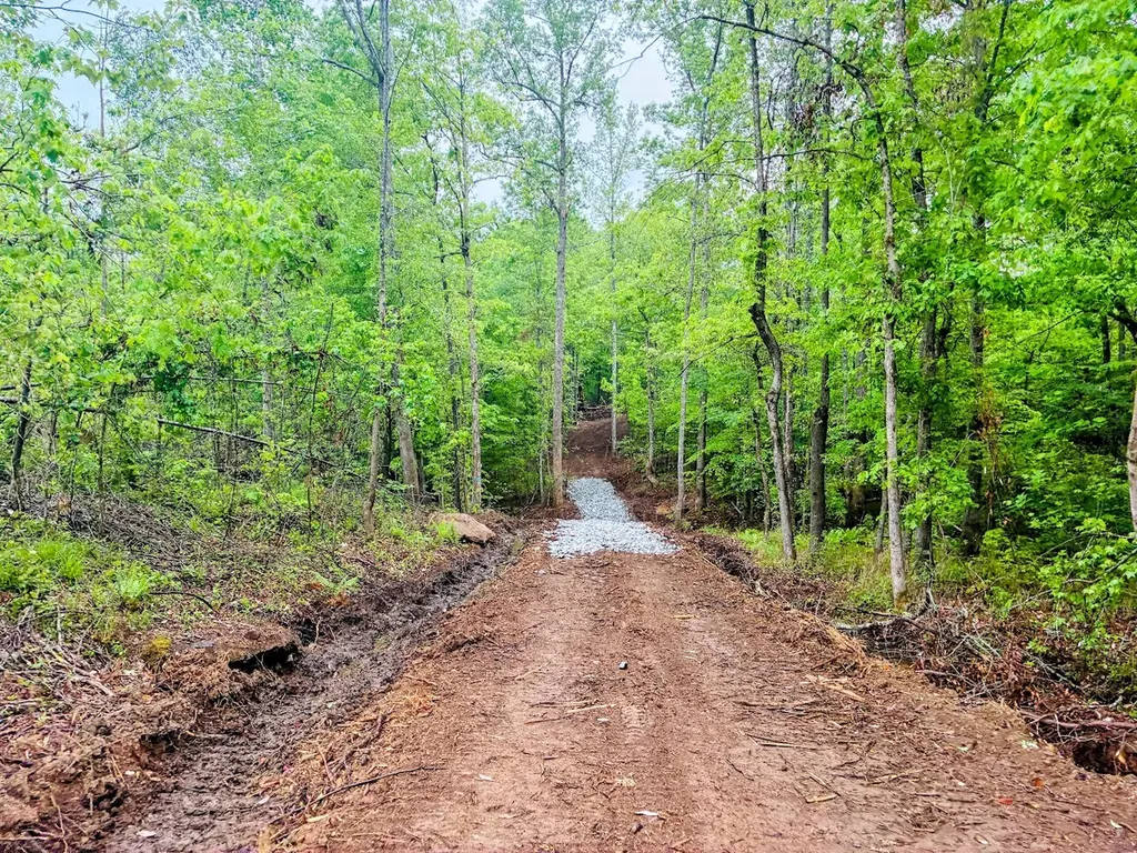 0 Old Highway 431 Tract 1 Wedowee AL 36278