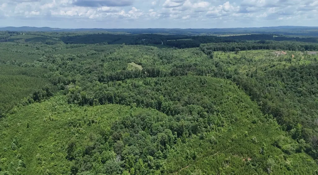 0 Old Highway 431 Tract 1 Wedowee AL 36278