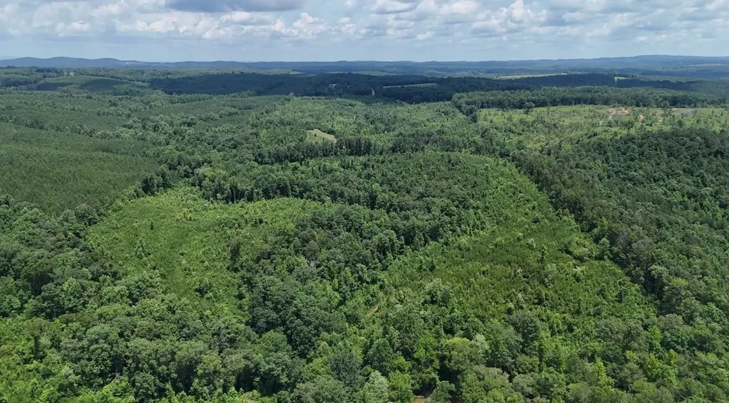 0 Old Highway 431 Tract 1 Wedowee AL 36278