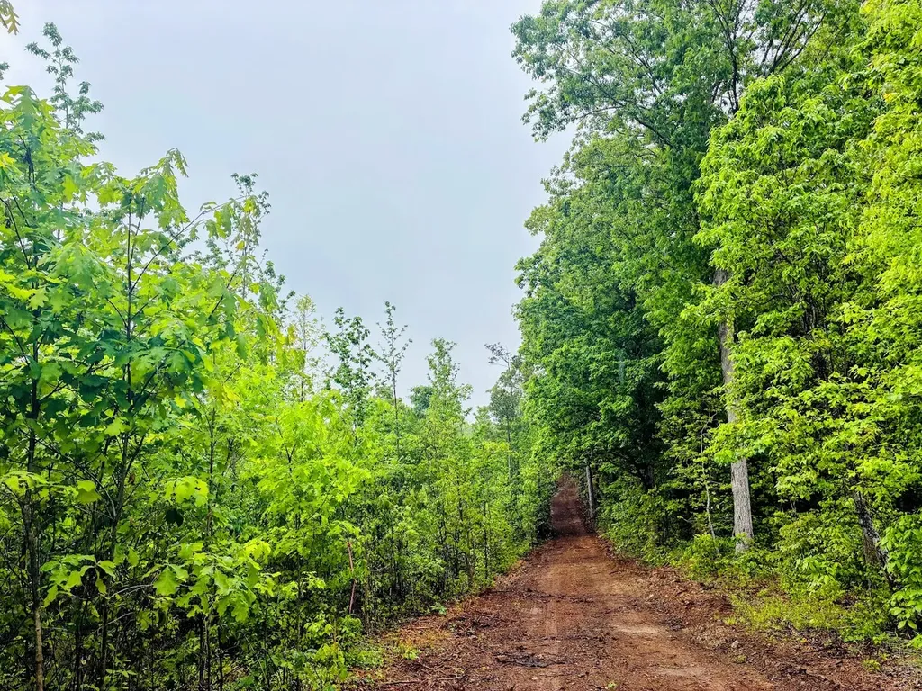 0 Old Highway 431 Tract 1 Wedowee AL 36278
