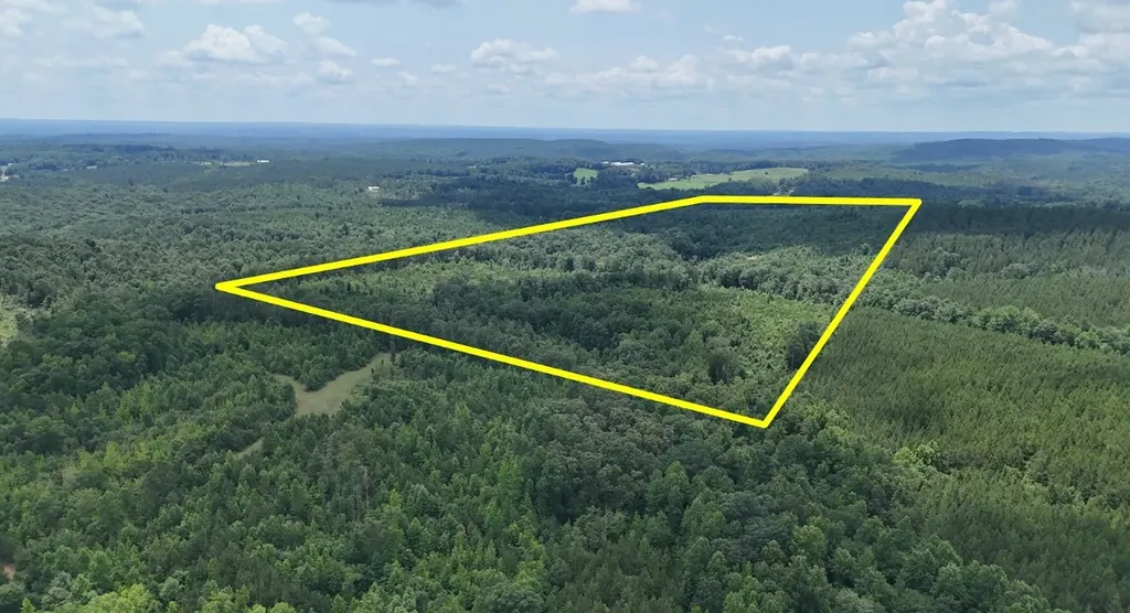 0 Old Highway 431 Tract 1 Wedowee AL 36278