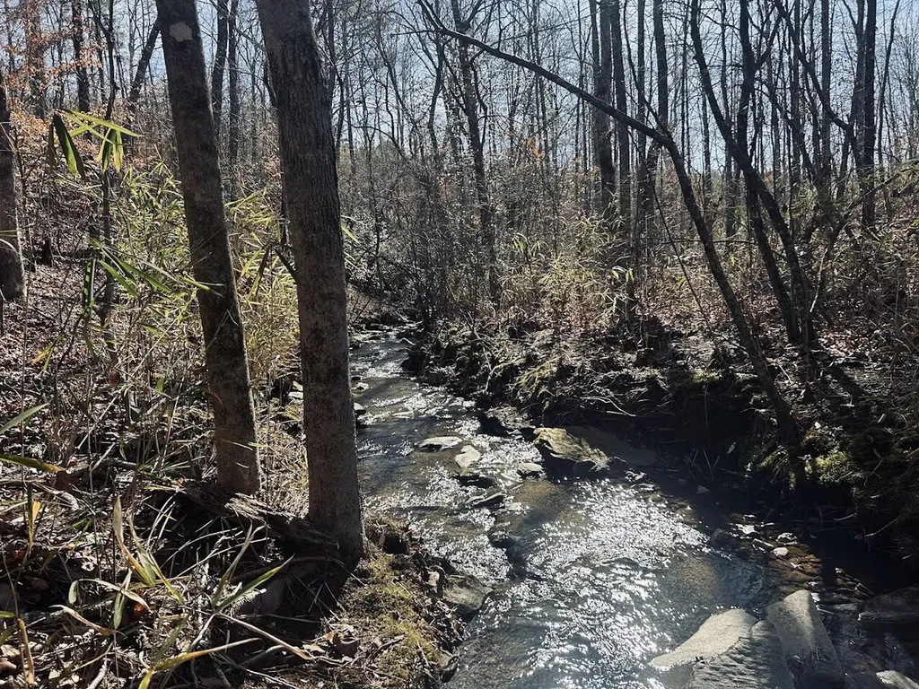 0 Old Highway 431 Tract 1 Wedowee AL 36278