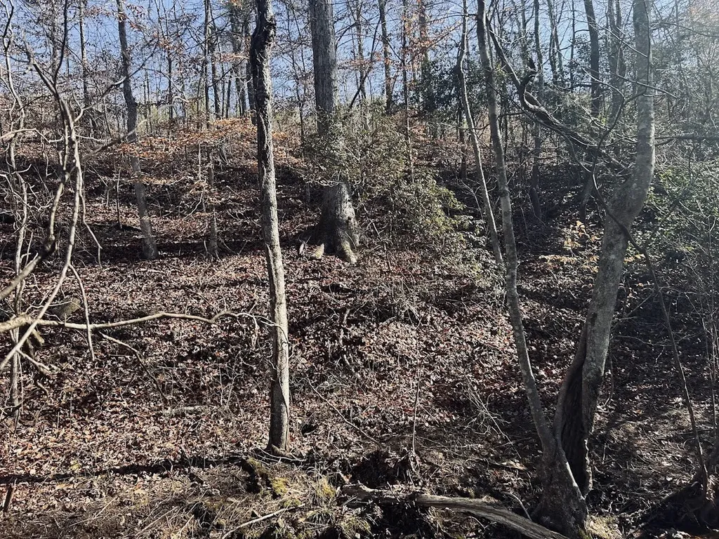 0 Old Highway 431 Tract 1 Wedowee AL 36278