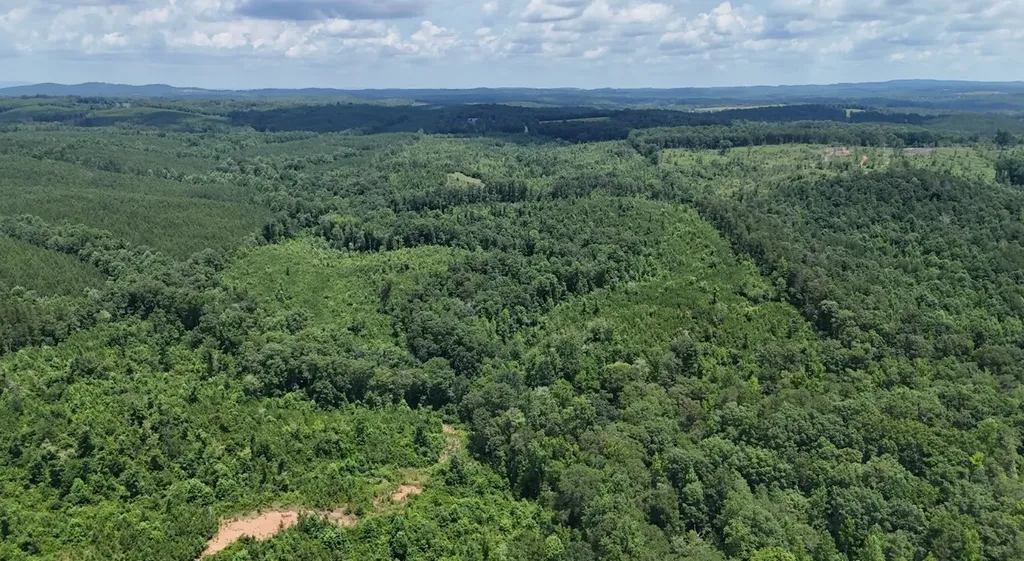 0 Old Highway 431 Tract 1 Wedowee AL 36278