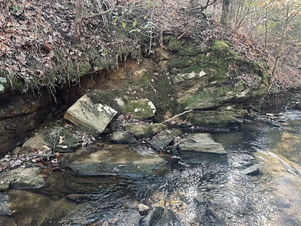0 Old Highway 431 Tract 1 Wedowee AL 36278