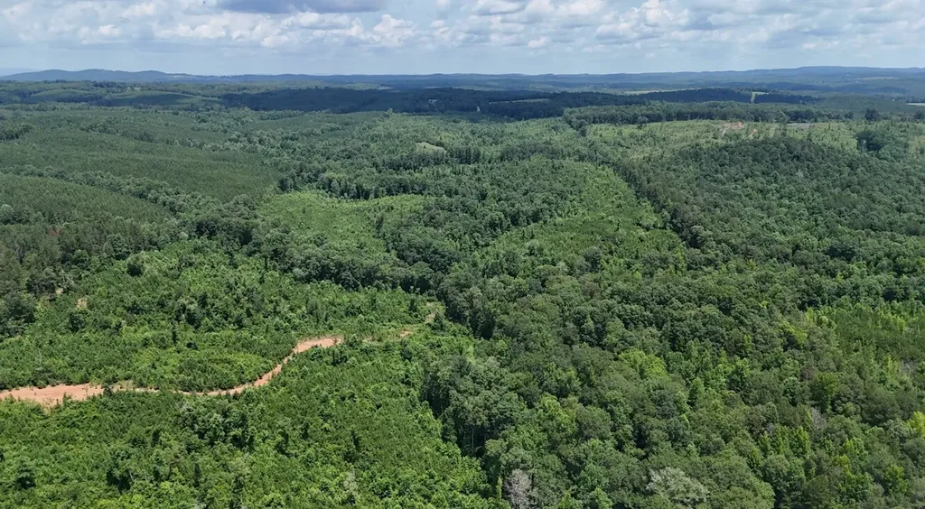 0 Old Highway 431 Tract 1 Wedowee AL 36278