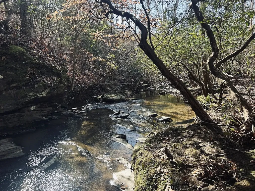0 Old Highway 431 Tract 1 Wedowee AL 36278