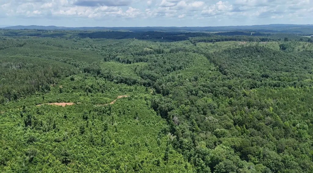0 Old Highway 431 Tract 1 Wedowee AL 36278