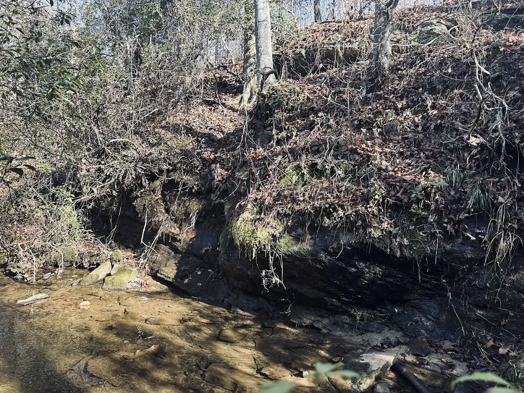 0 Old Highway 431 Tract 1 Wedowee AL 36278