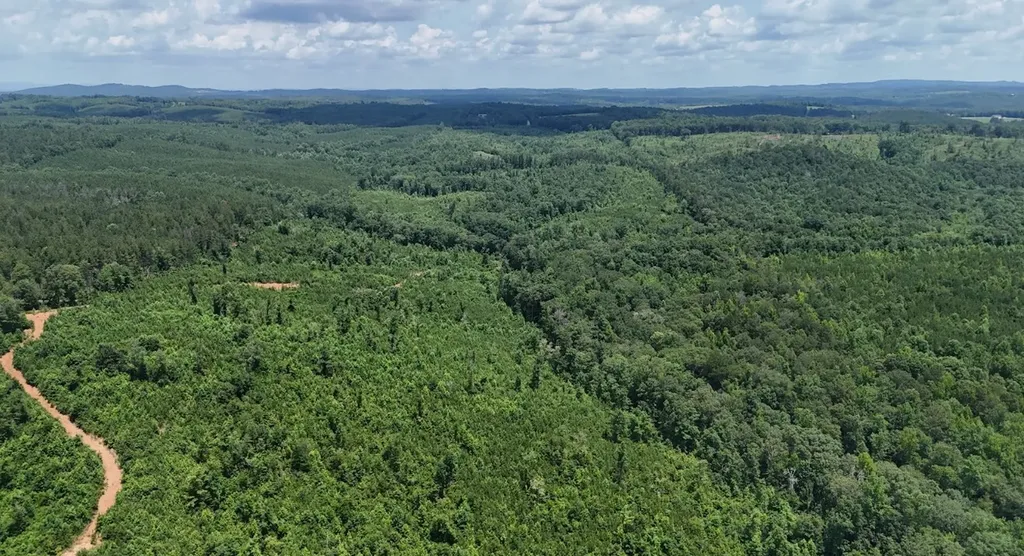 0 Old Highway 431 Tract 1 Wedowee AL 36278