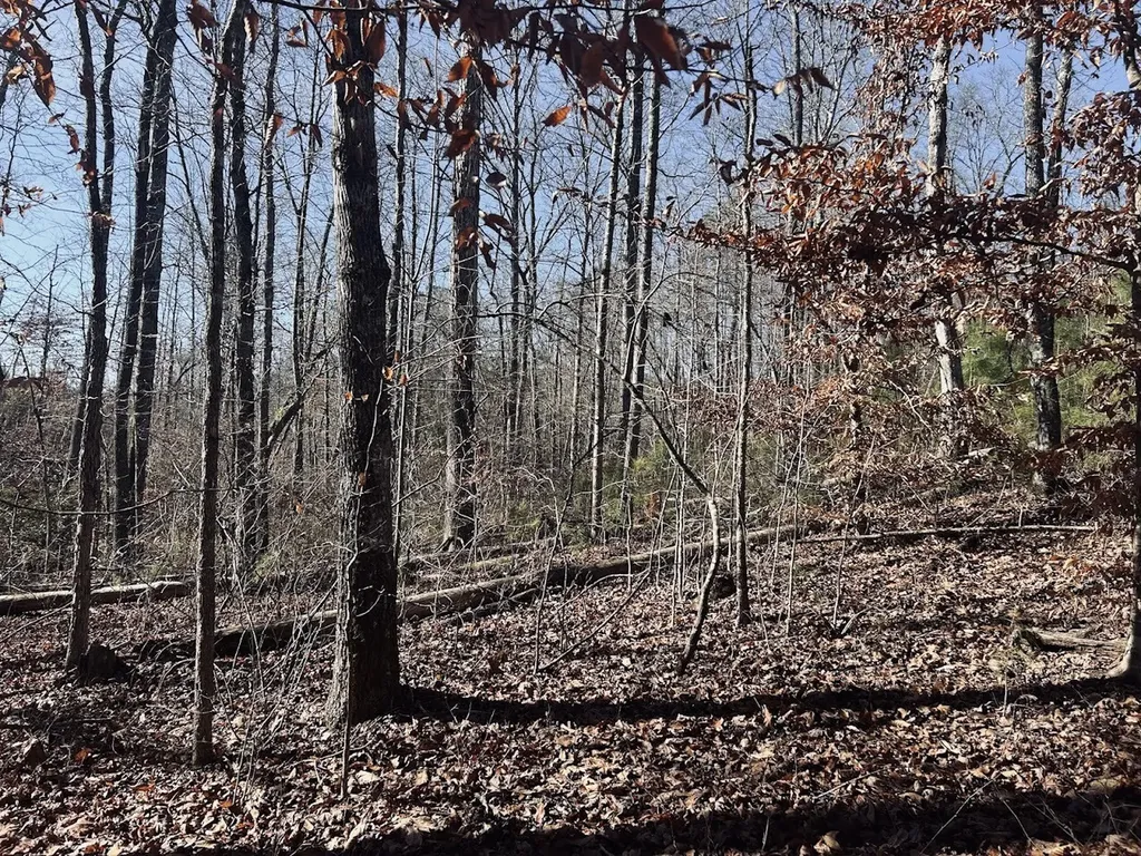 0 Old Highway 431 Tract 1 Wedowee AL 36278