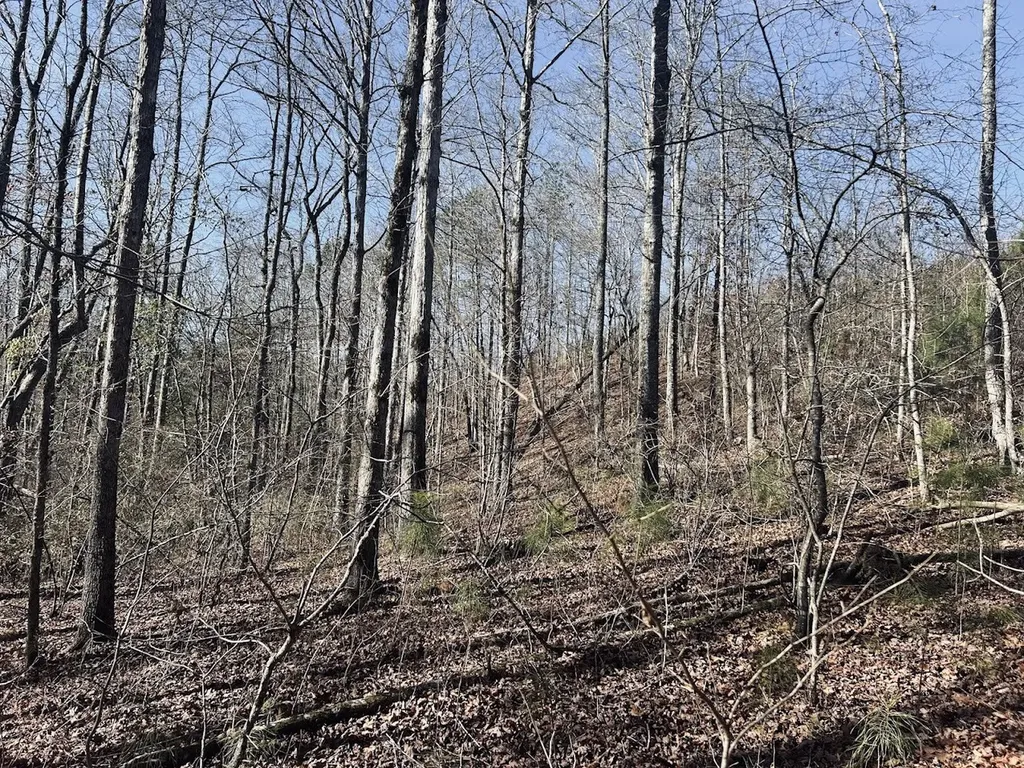 0 Old Highway 431 Tract 1 Wedowee AL 36278