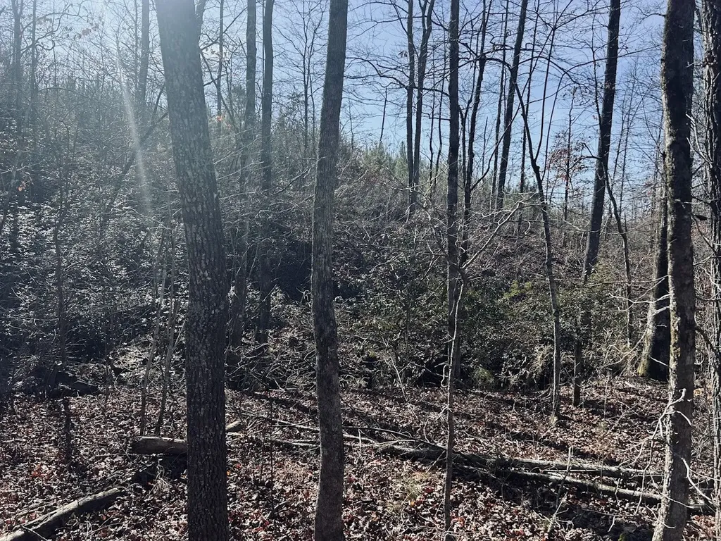 0 Old Highway 431 Tract 1 Wedowee AL 36278