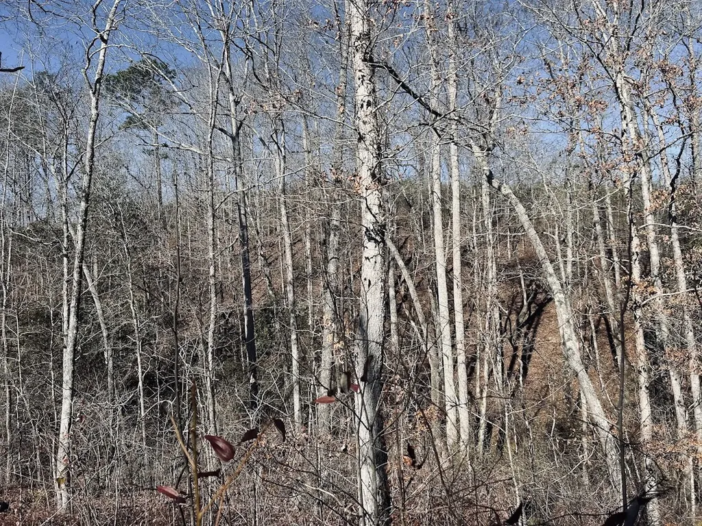 0 Old Highway 431 Tract 1 Wedowee AL 36278
