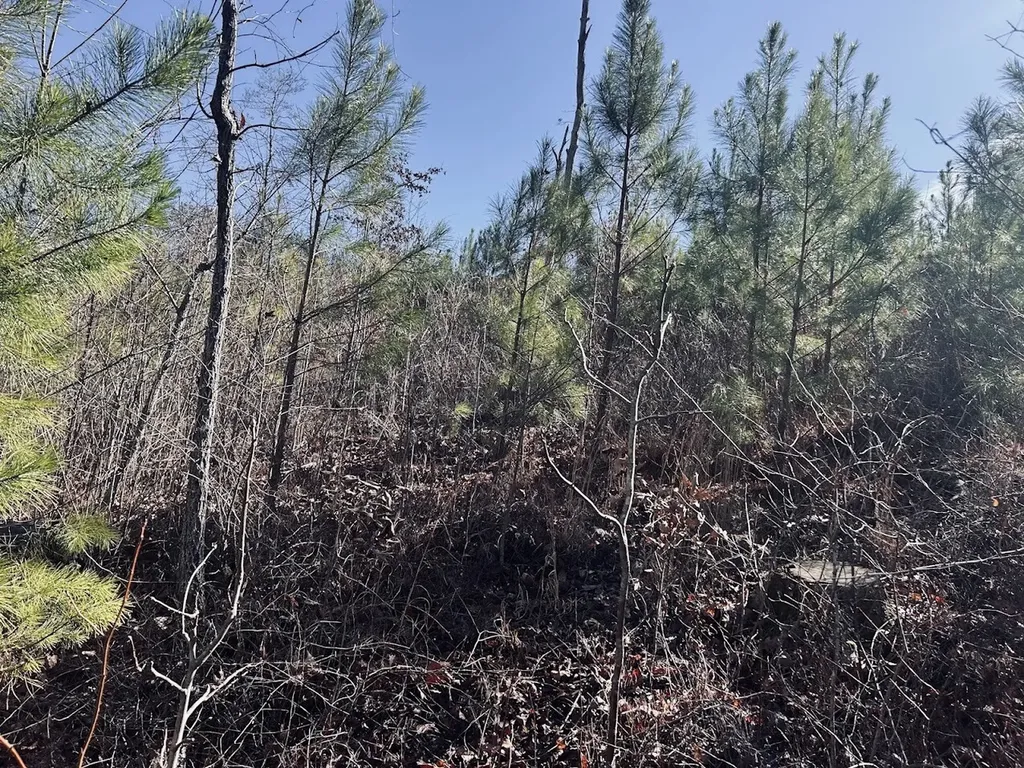 0 Old Highway 431 Tract 1 Wedowee AL 36278