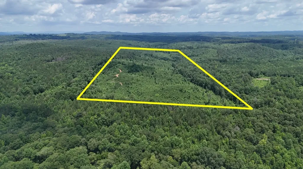 0 Old Highway 431 Tract 1 Wedowee AL 36278