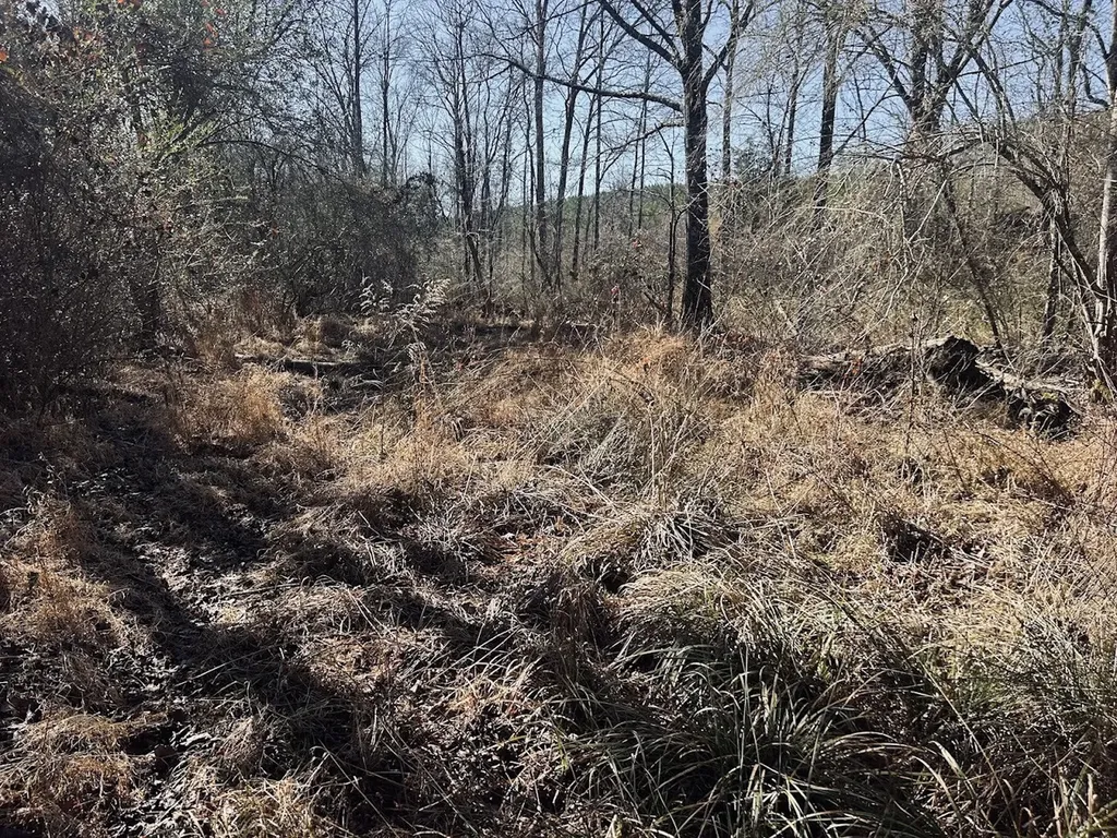 0 Old Highway 431 Tract 1 Wedowee AL 36278