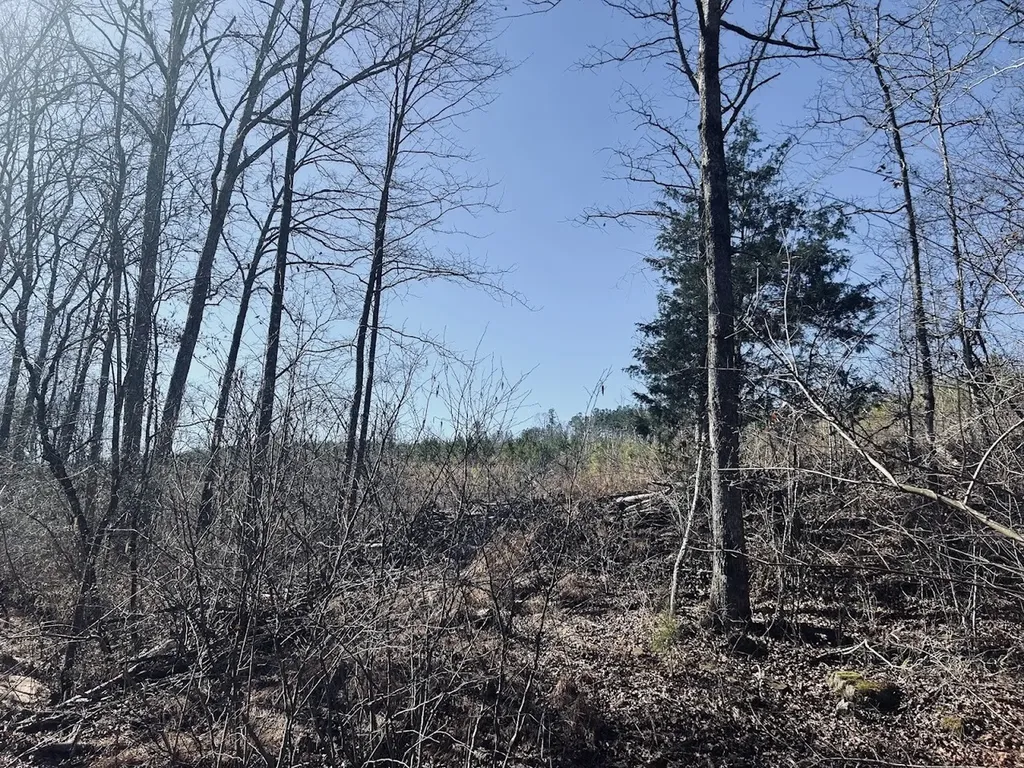 0 Old Highway 431 Tract 1 Wedowee AL 36278