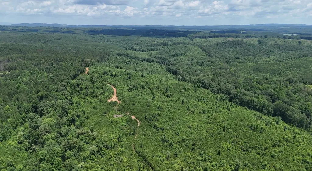 0 Old Highway 431 Tract 1 Wedowee AL 36278